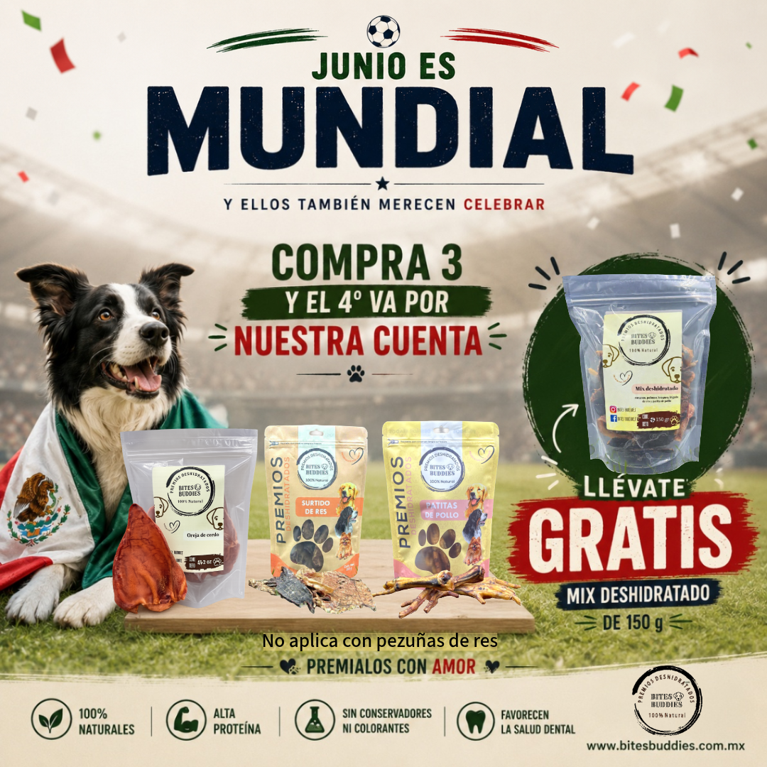 Promoción